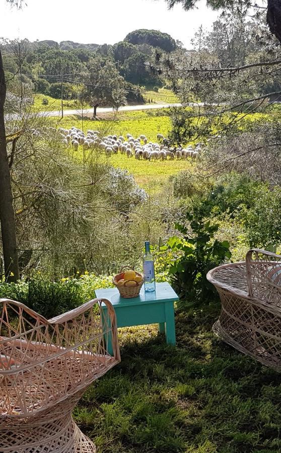 Appartamento Morphee Valdareina, Piscine Chauffee, Benagil-Carvoeiro Carvoeiro  Esterno foto