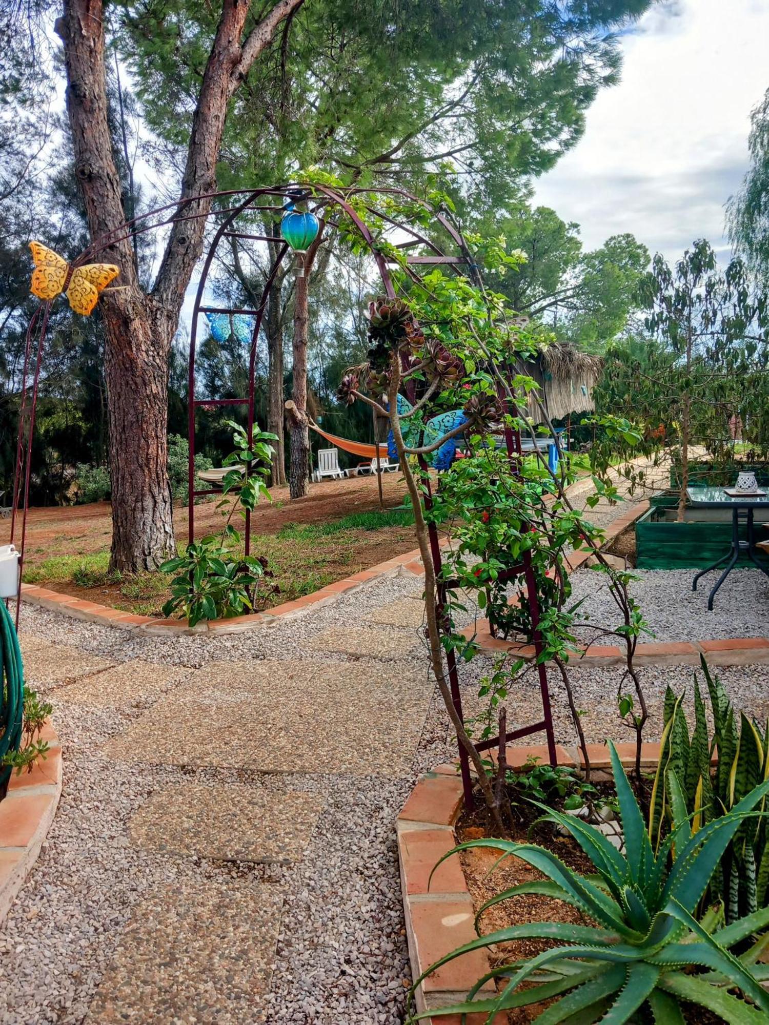 Appartamento Morphee Valdareina, Piscine Chauffee, Benagil-Carvoeiro Carvoeiro  Esterno foto